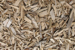 biomass boilers Testwood